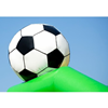 Springkussen Voetbal standaard