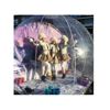 Snowglobe Winter Snowglobe Winter