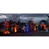 Halloween Doolhof met effecten en Disco springkussen