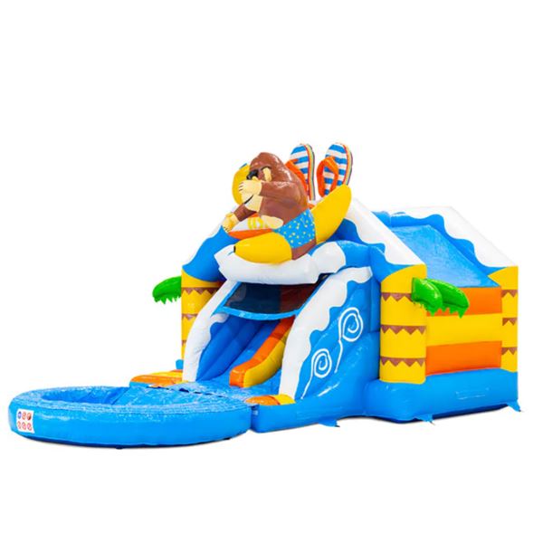 Slide Combo Doubleslide- Beach incl. zwembad