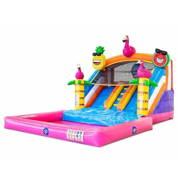 Splashy slide Flamingo