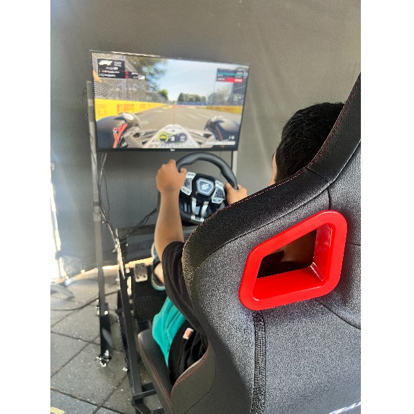 Racing Sim Experience Racing Sim Experience